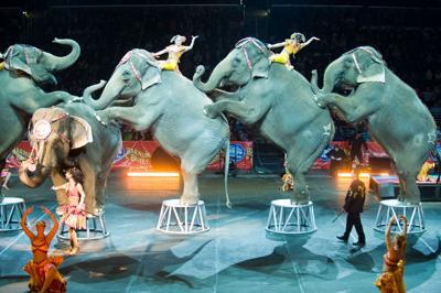 Ringling Bros. to remove elephant act in conservation bid