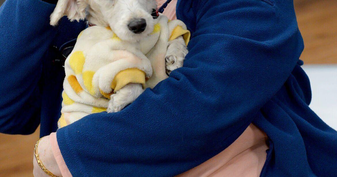 Pet companion day at Derry senior center