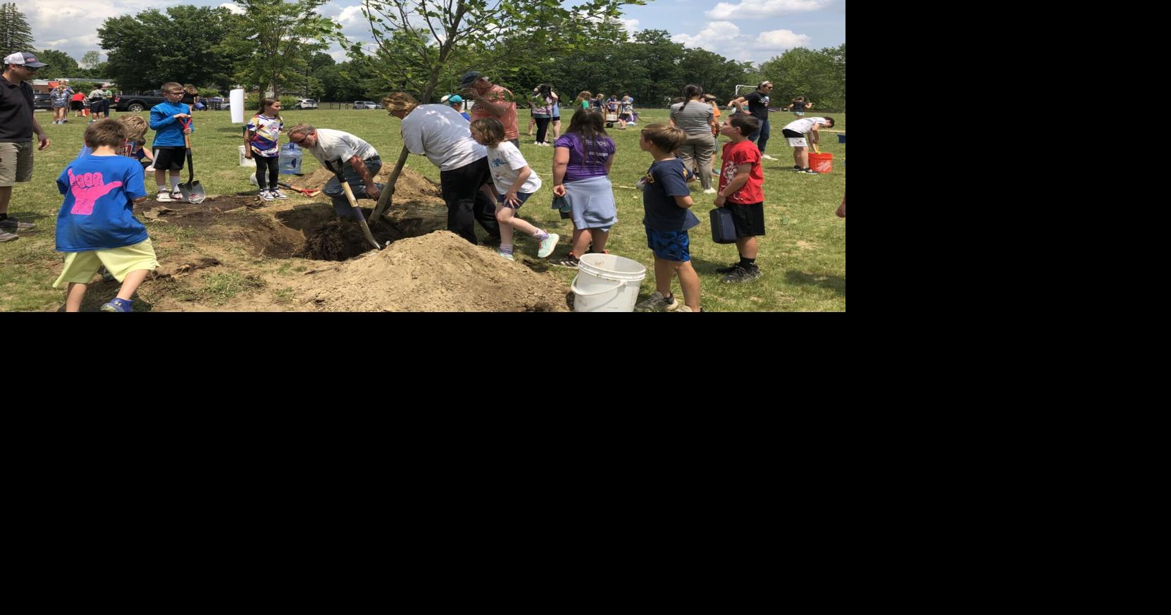 Schools urged to apply for tree planting program