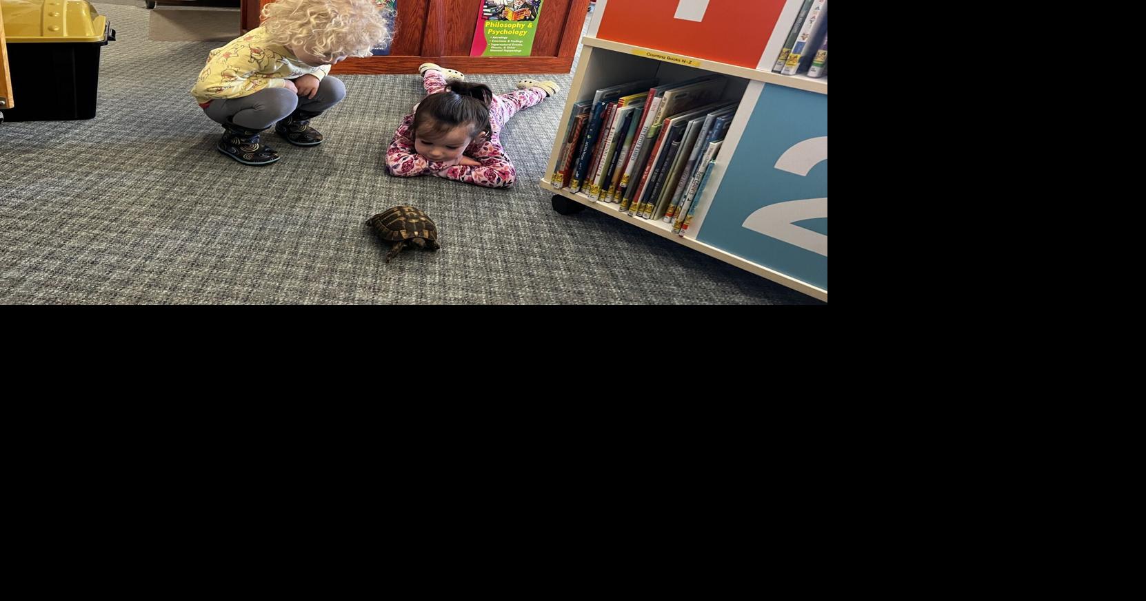 Different kind of hardcover Leach Library new mascot Oscar