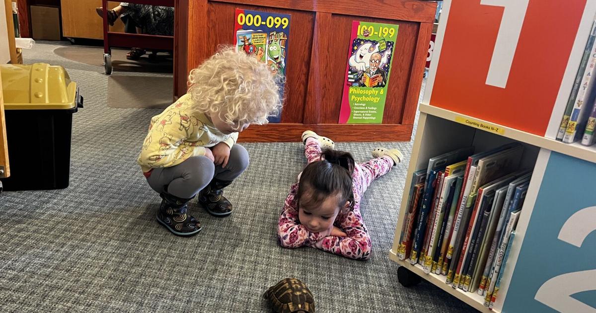 Different kind of hardcover Leach Library new mascot Oscar