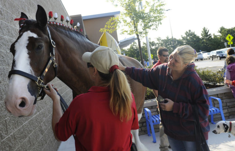 New Wal-Mart opens on Ashleigh Drive | News | derrynews.com