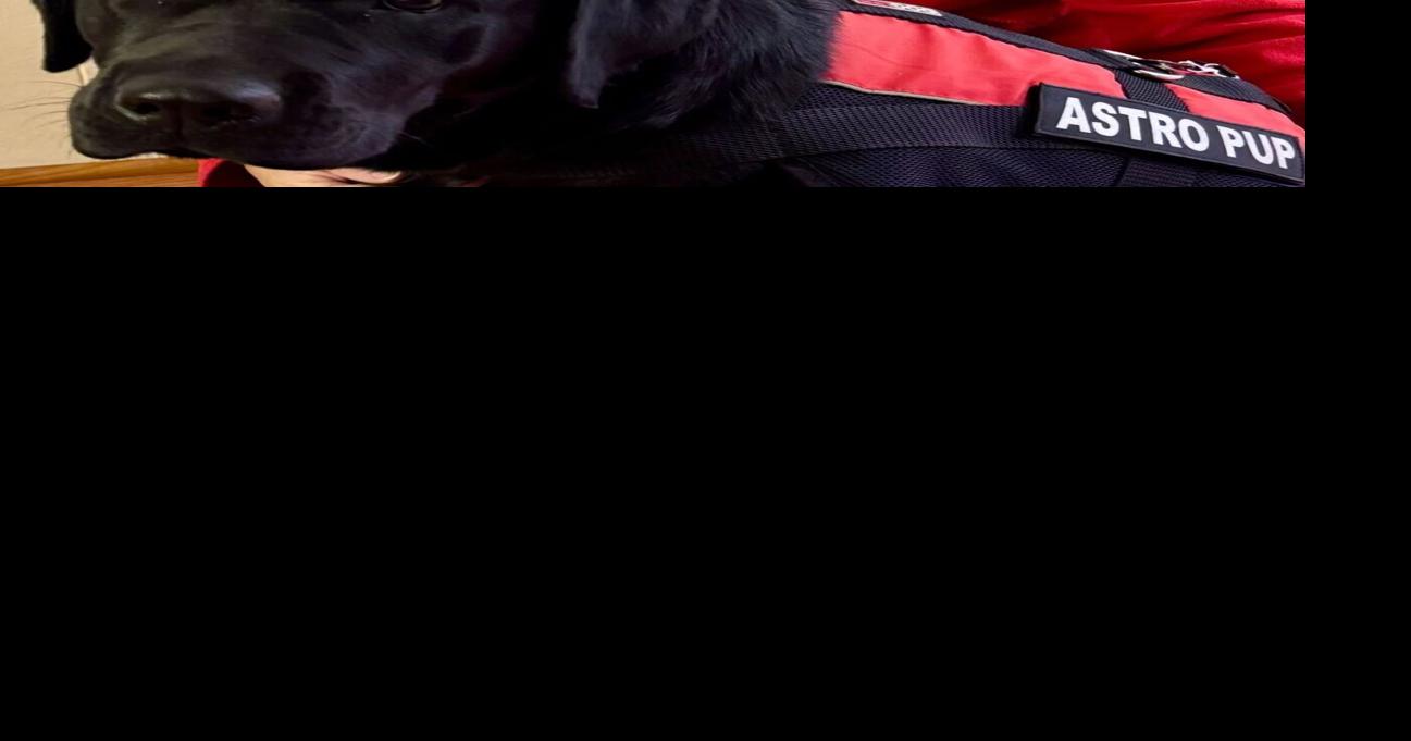 Pinkerton educator is assistant principal of the year