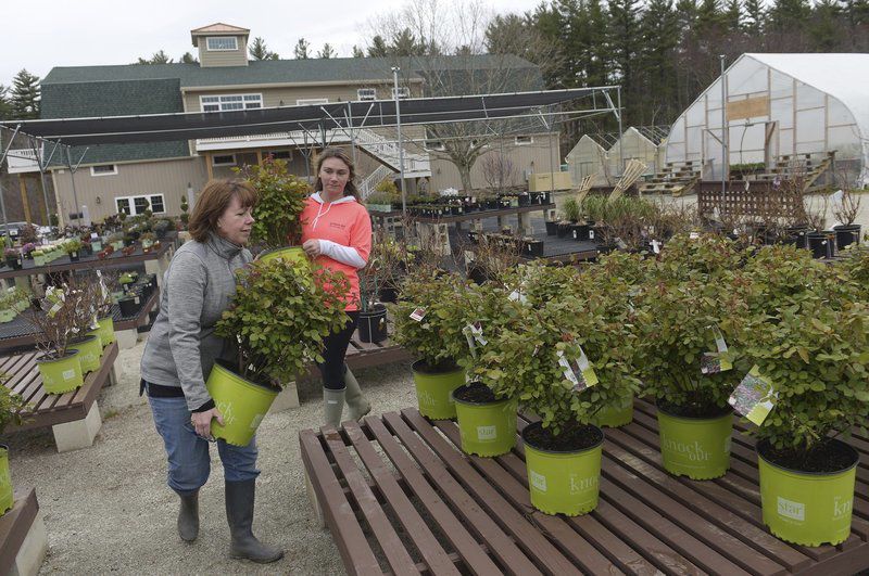 Blooming Business News Derrynews Com - Garden Centers In Londonderry Nh