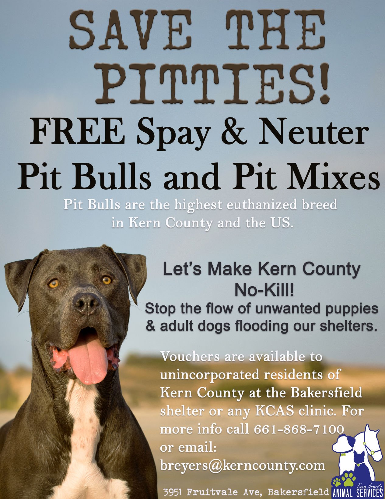 Free pitbull hot sale spay