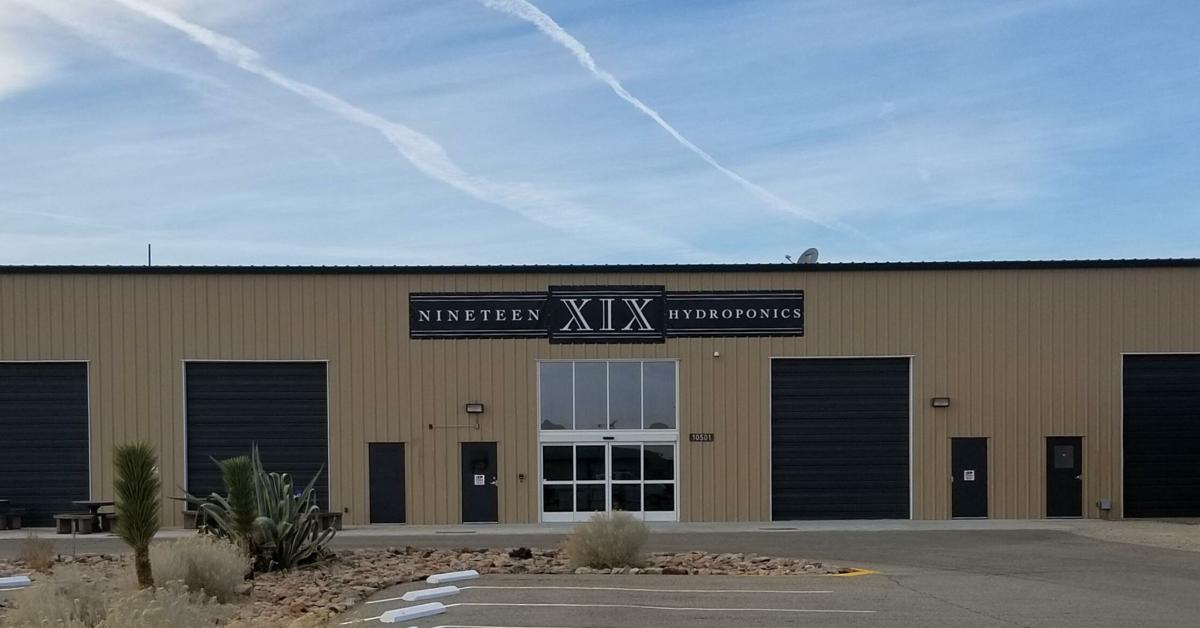 Nineteen Xix Hydroponics Gets Ready To Open It S Doors In
