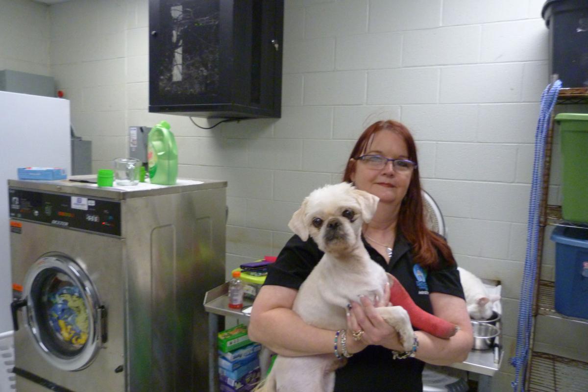 DeSoto animal rescue efforts active News