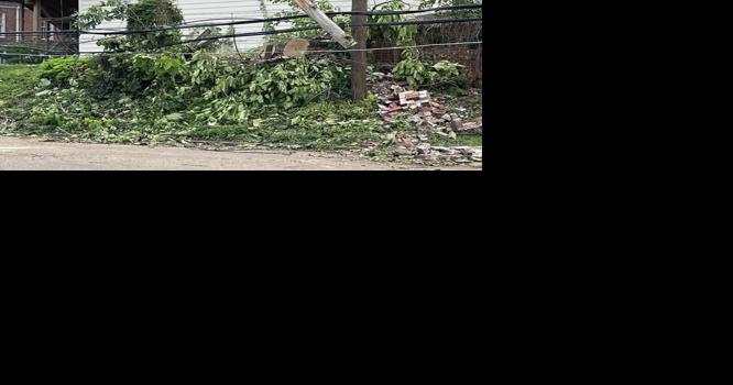 Hernando extends emergency declaration for debris cleanup - Vimarsana News