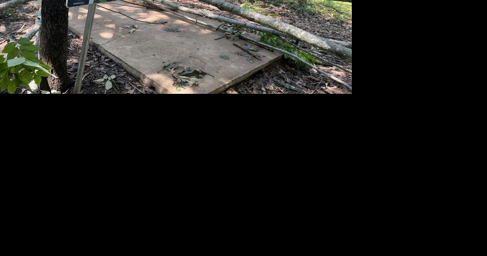 Cleanup efforts underway at Olive Branch City Park following sudden storm