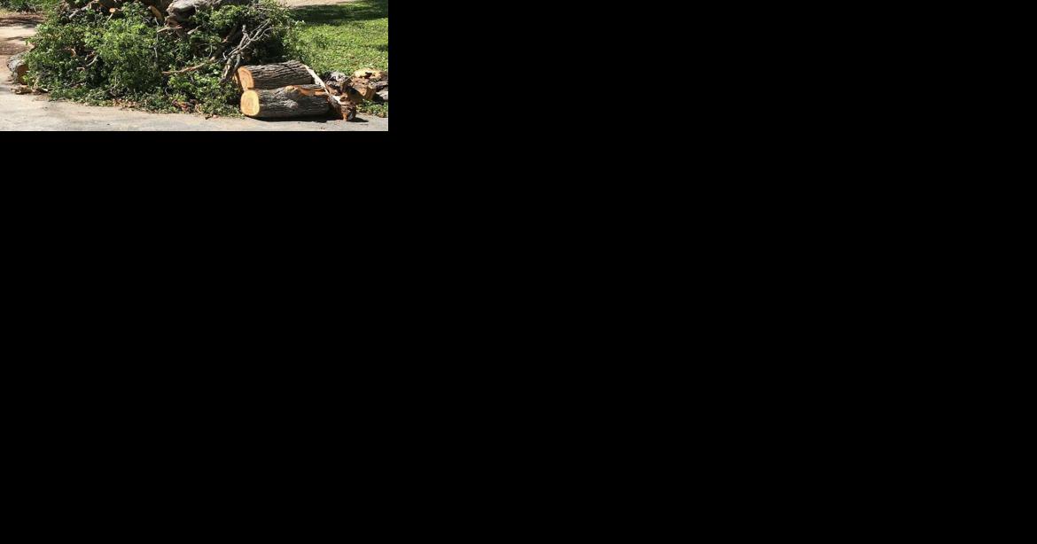 Olive Branch to charge residents for multiple large rubbish loads left curbside - Vimarsana News
