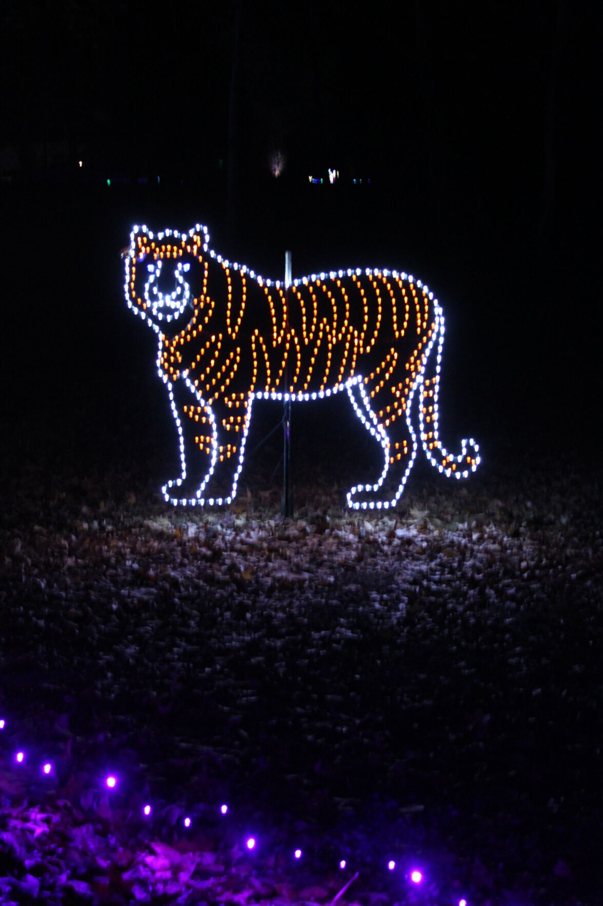 Southaven Ms Christmas Lights 2022 Southern Lights In Southaven's Central Park | News | Desototimes.com