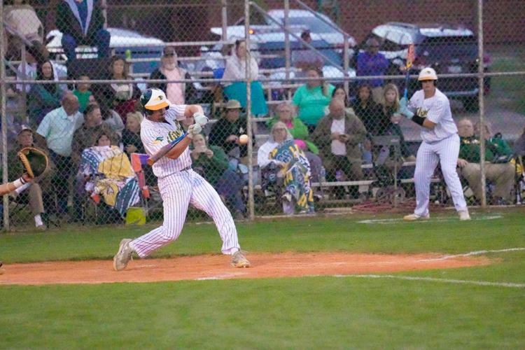 Local Standouts Earn State Baseball Honors | Sports ...