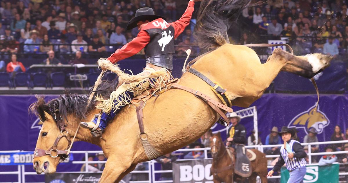 UMW rodeo opens spring at MSU on a roll | Sports | dillontribune.com