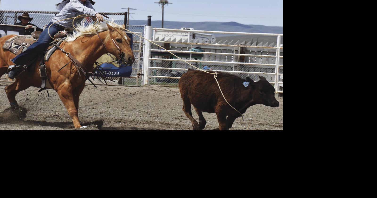 State Junior High rodeo champs crowned in Dillon | Sports ...