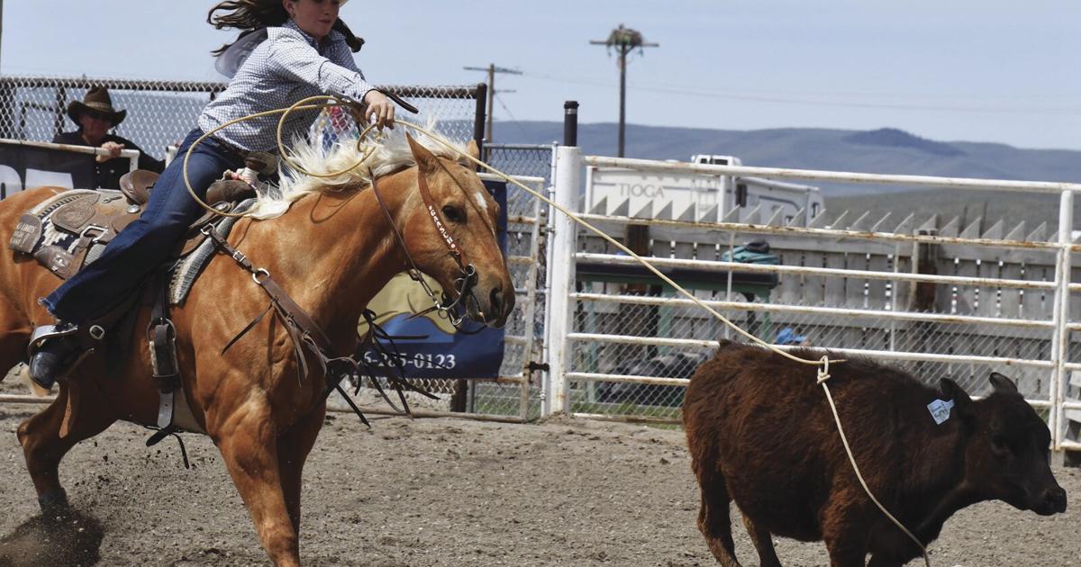 Sd Jr. High Rodeo State Junior High rodeo champs crowned in Dillon | Sports ...