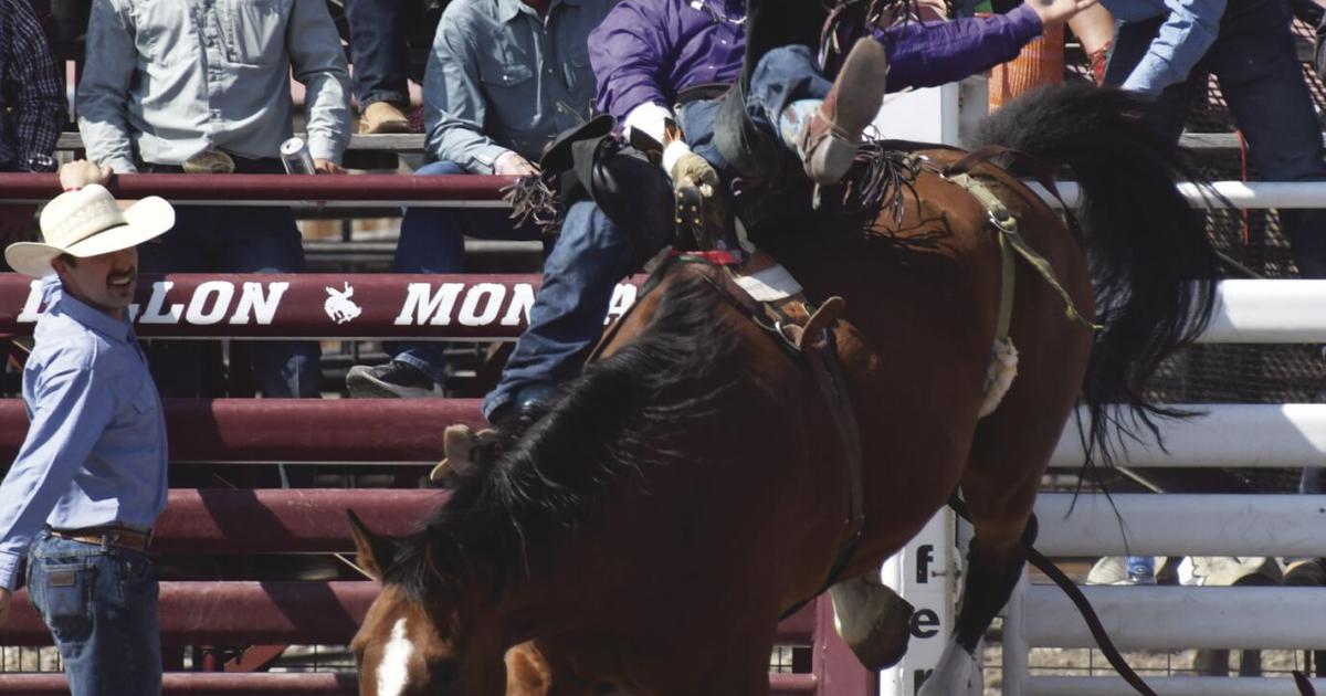 Jc Hawk Rodeo Big checks hit in bulls and WHR, locals place high in JC rodeo | Sports ...