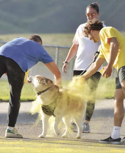 Colors for Cancer - Successful 5K Color Run will help local cancer ...