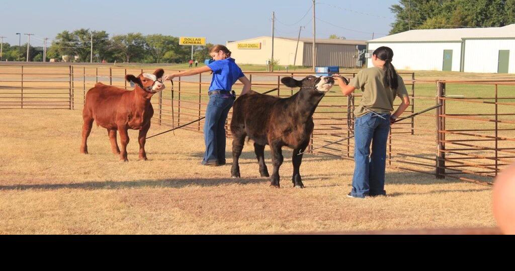 ComancheEmpire District livestock show sees great turnout Community