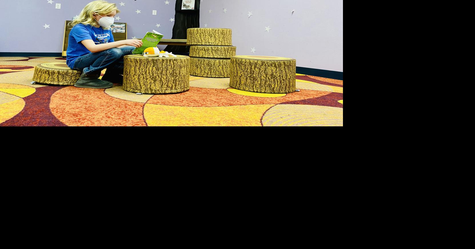 Photo DPL receives log stools donation for children’s department