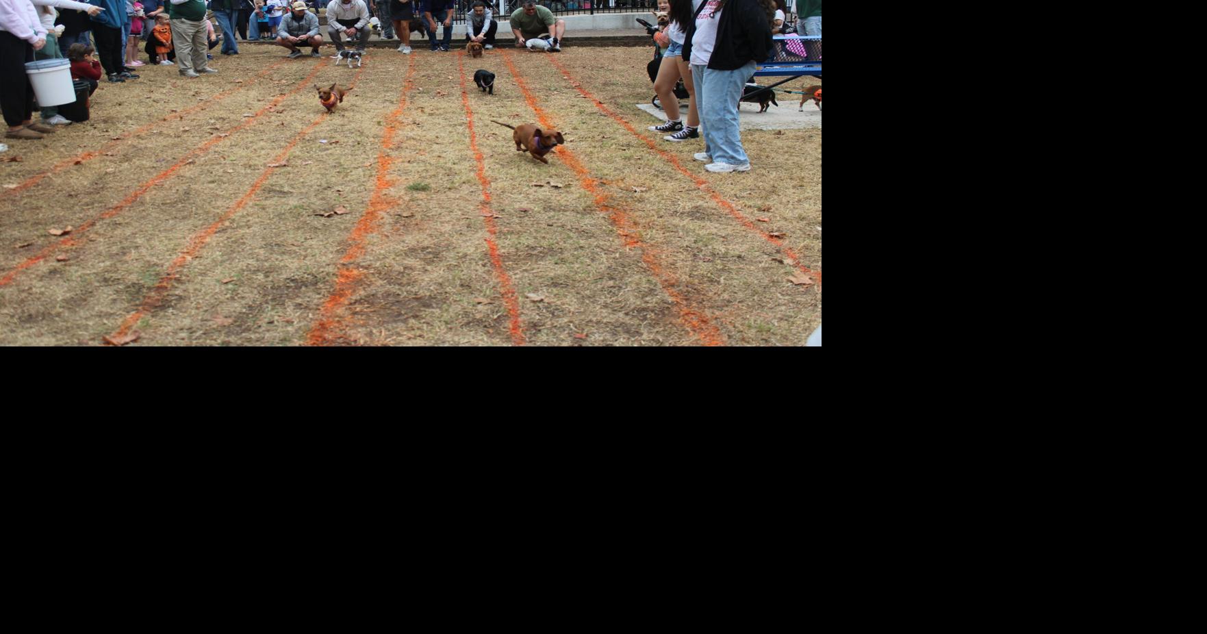 GALLERY: Bark in the Park brings tail-wagging good time to the community