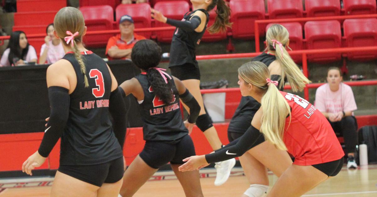 Lady Demons finish off regular season; eye familiar opponent | Sports ...