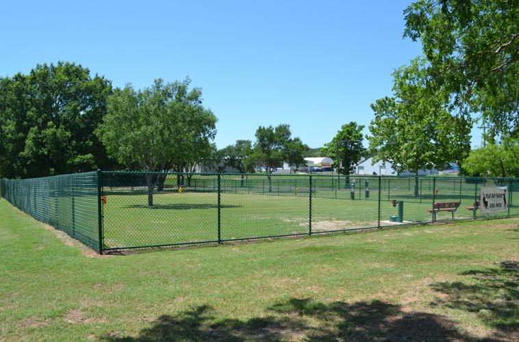 how tall should a dog park fence be