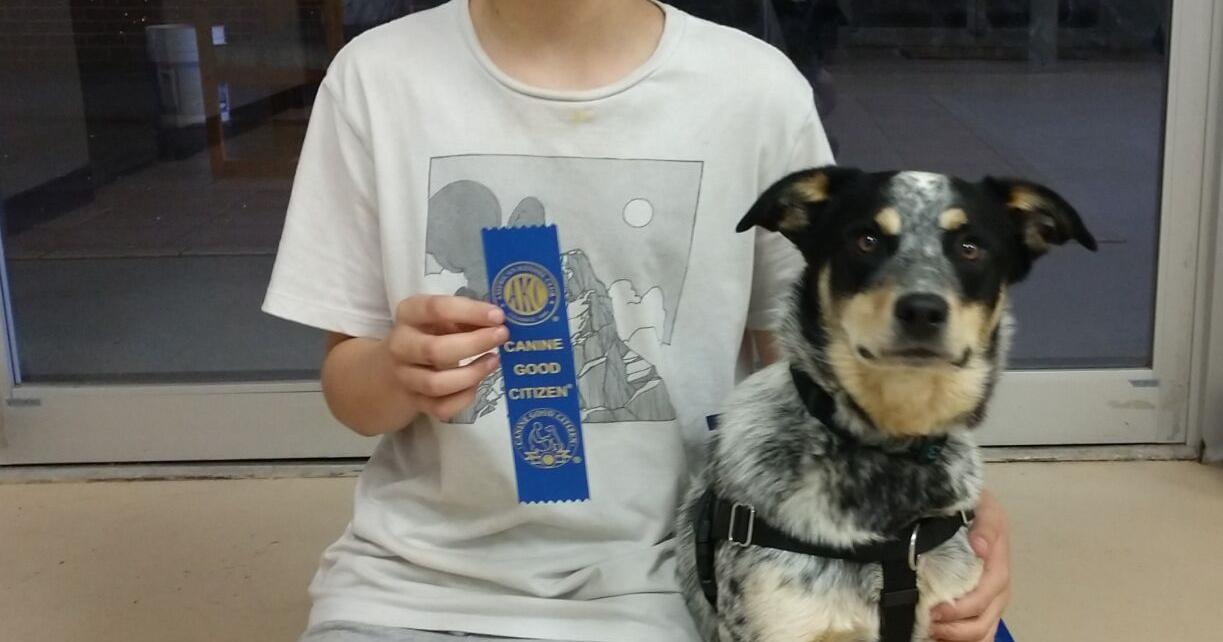 Duncanites receive Canine Good Citizen recognition - Vimarsana News