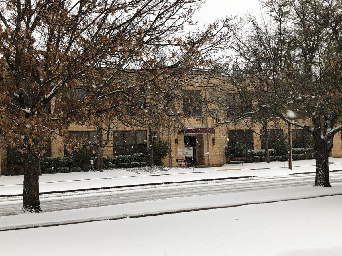 Wild art gallery: School’s out for snow
