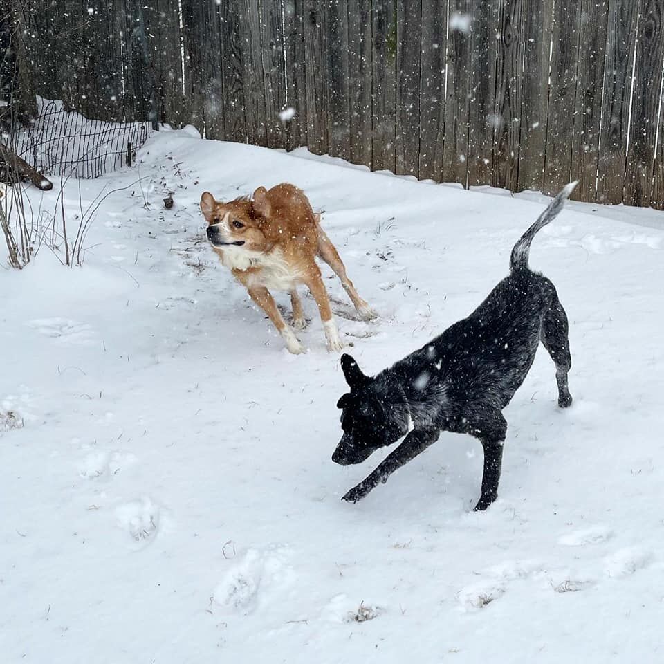 66Snow.jpg