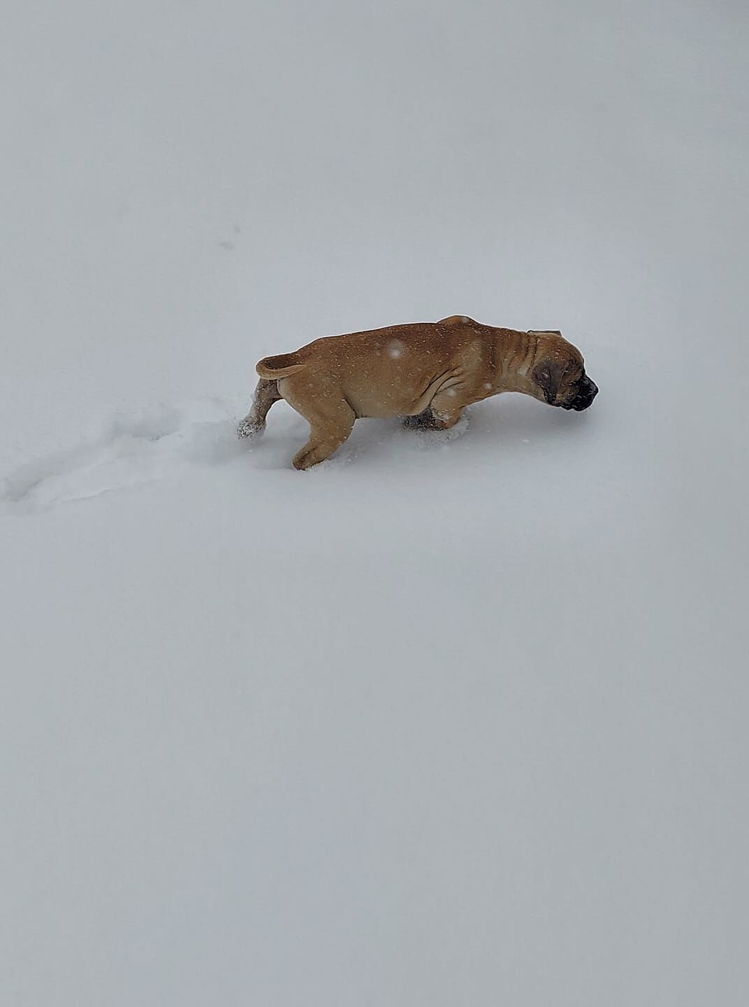 77Snow.jpg
