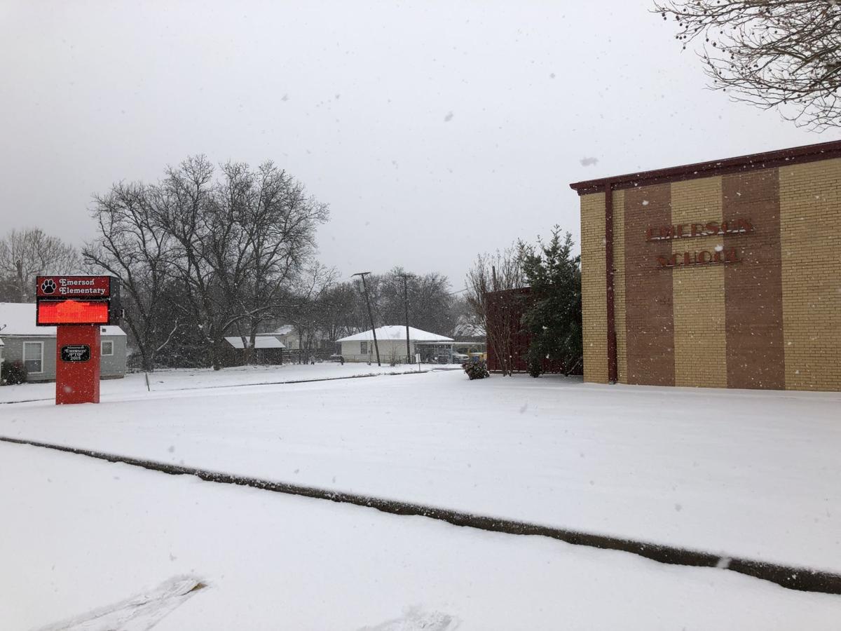 Wild art gallery: School’s out for snow