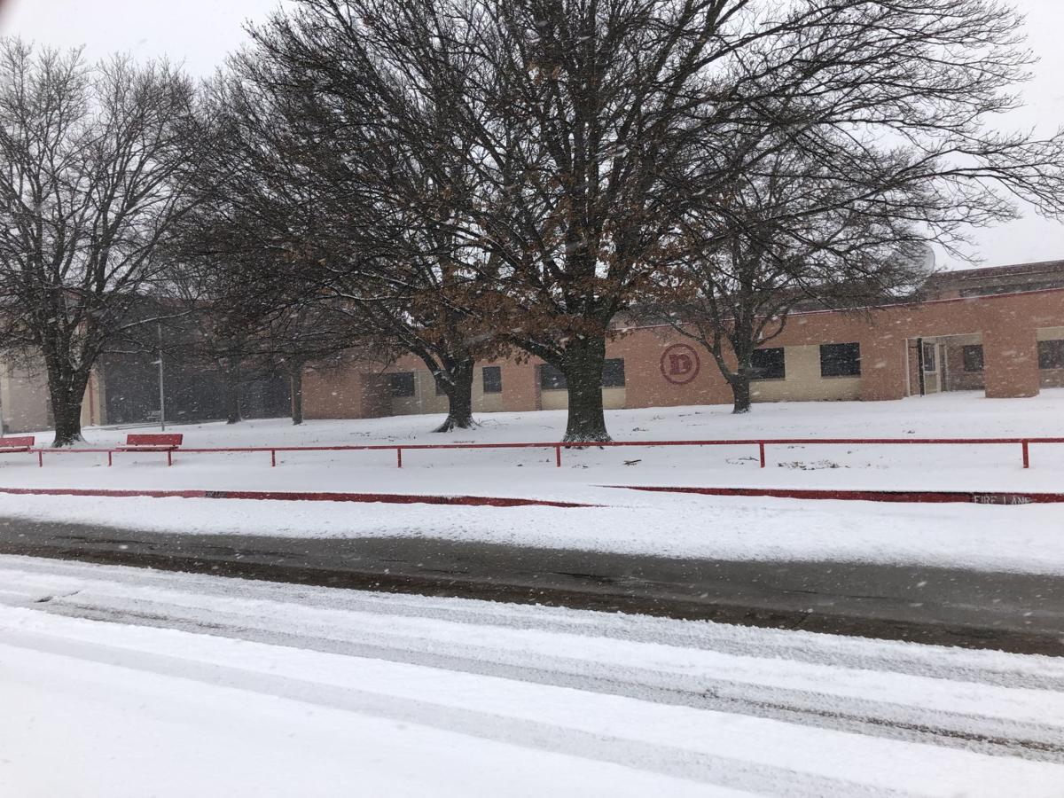 Wild art gallery: School’s out for snow