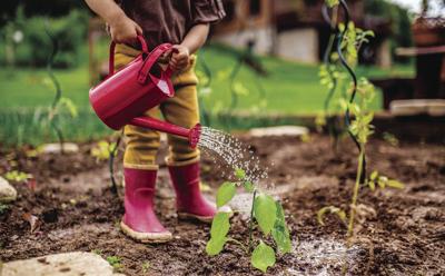 Column Like To Play In The Dirt Quarantine Good Time To Garden Community Duncanbanner Com