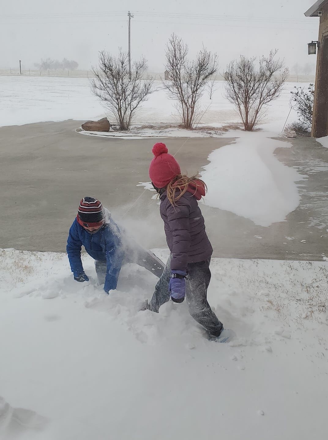 11Snow.jpg