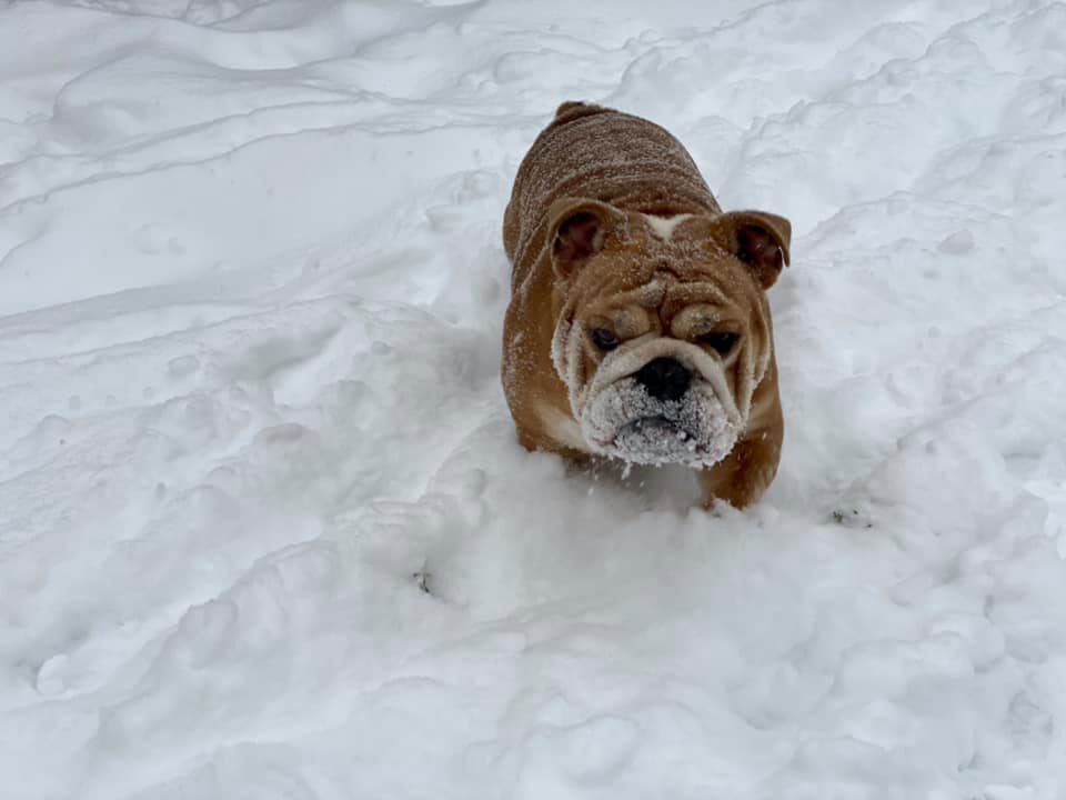 28Snow.jpg