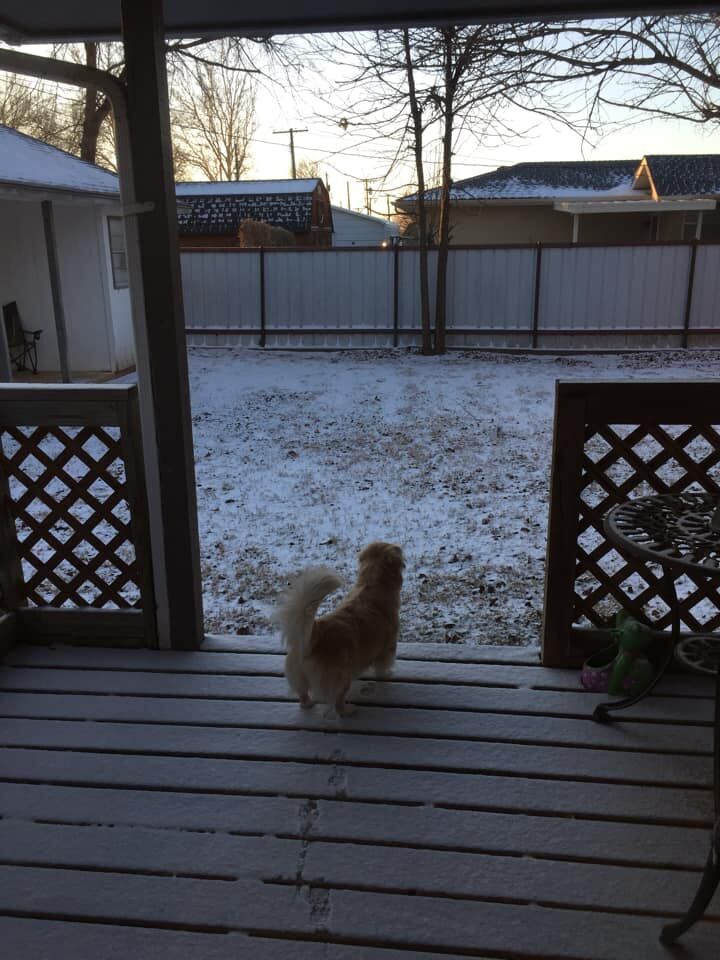 Snow day