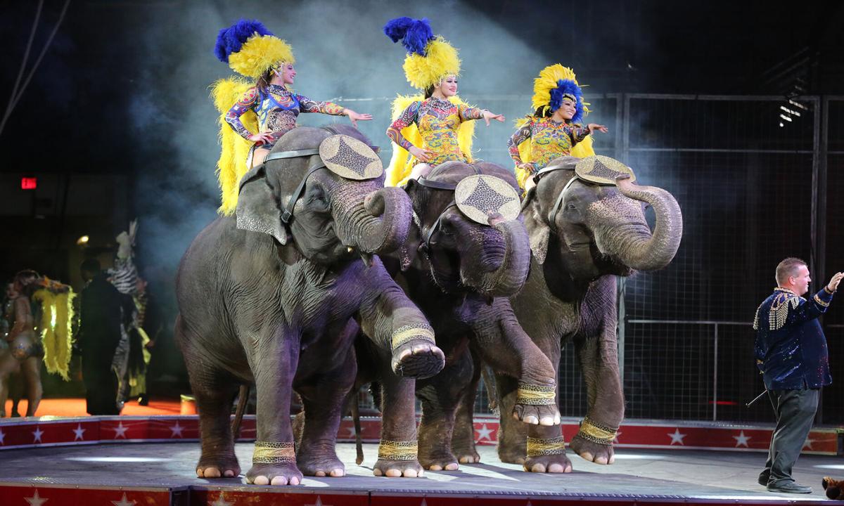 Circus to bring family-friendly entertainment to town for annual show |  Community 