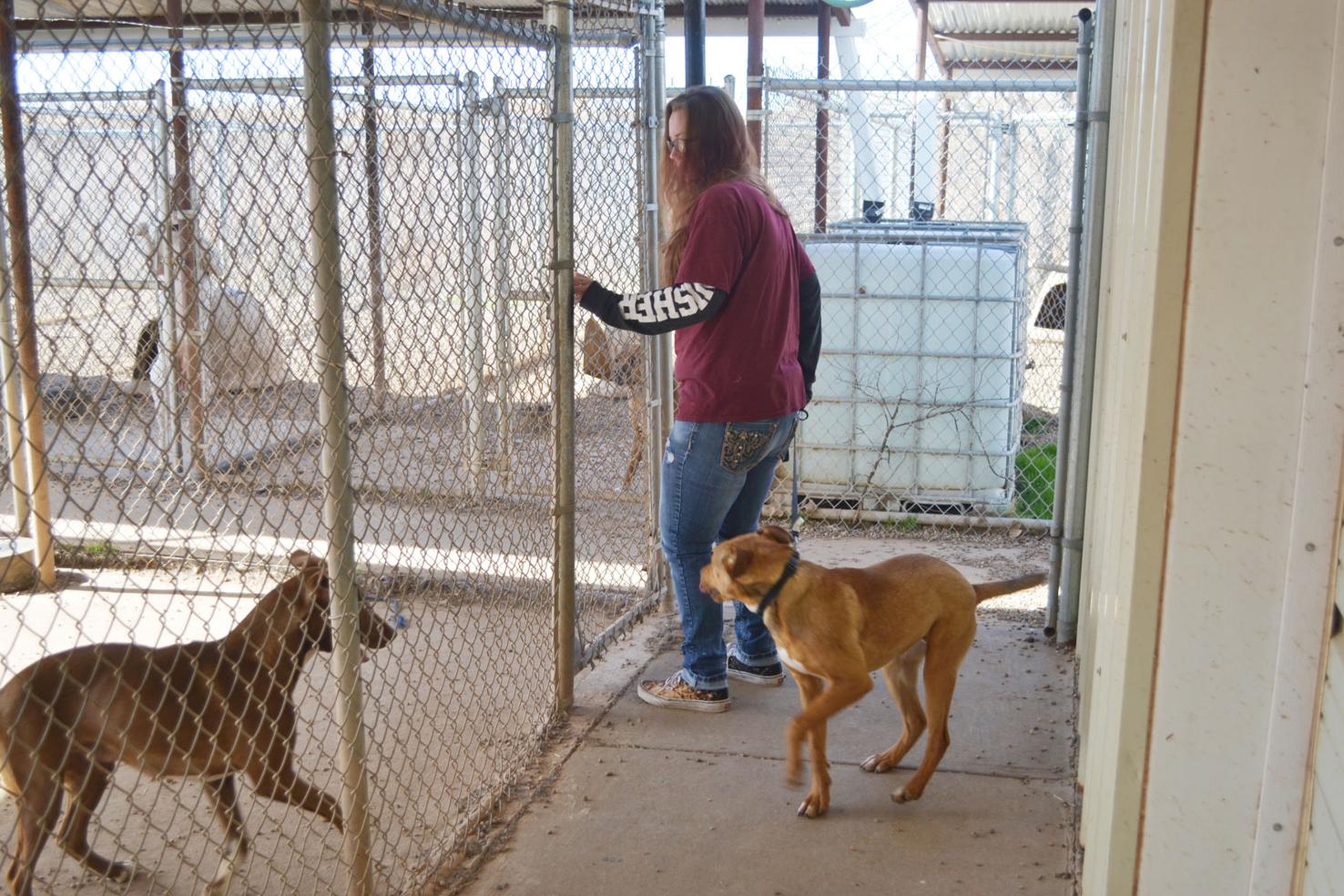 Humane society brings back Yappy Hour fundraiser News