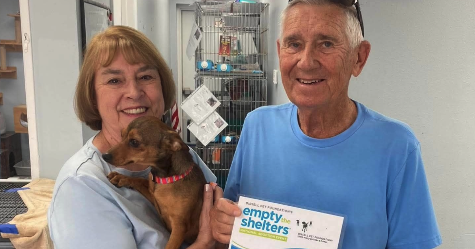 Happy tails, happy tales: Chloe adopted after Take Out Tuesday