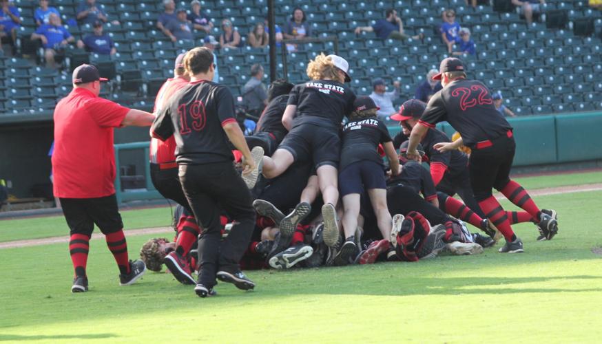 Dog Pile 1.jpg