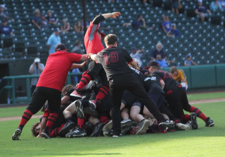 Dog Pile 2.jpg