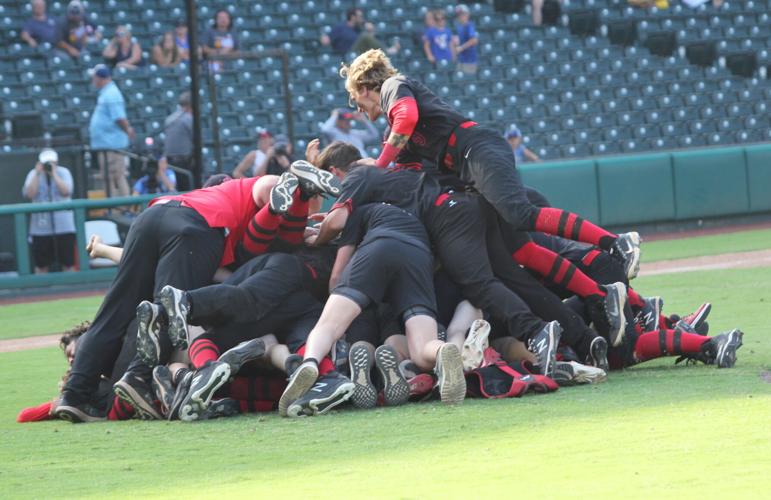 Dog Pile 3.jpg
