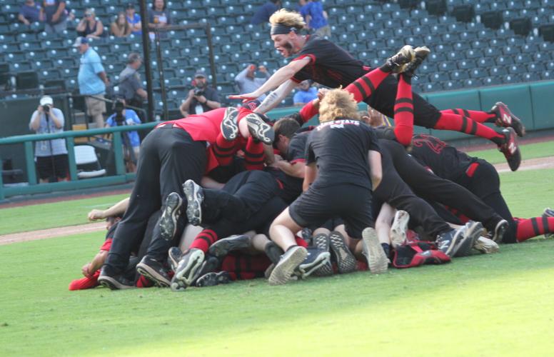 Last of the dog pile.jpg