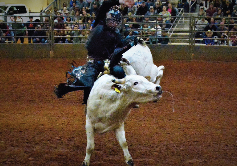 Sigma Nu Bull Bash rides into fairgrounds