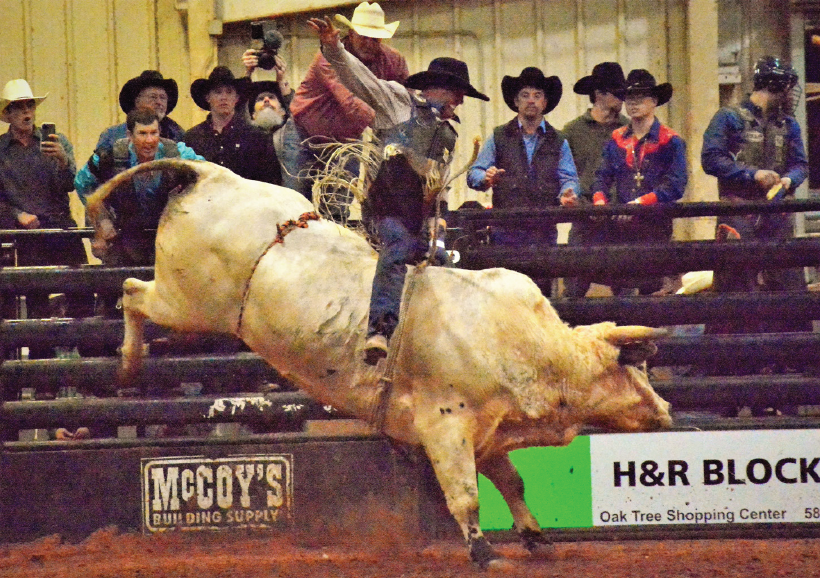 Sigma Nu Bull Bash rides into fairgrounds