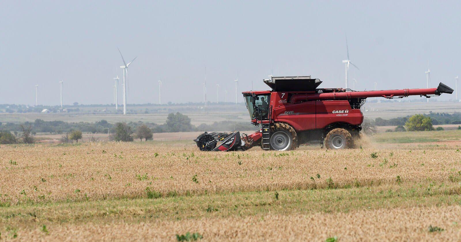 Cool, wet spring surprises producers with better-than-expected yields - Vimarsana News