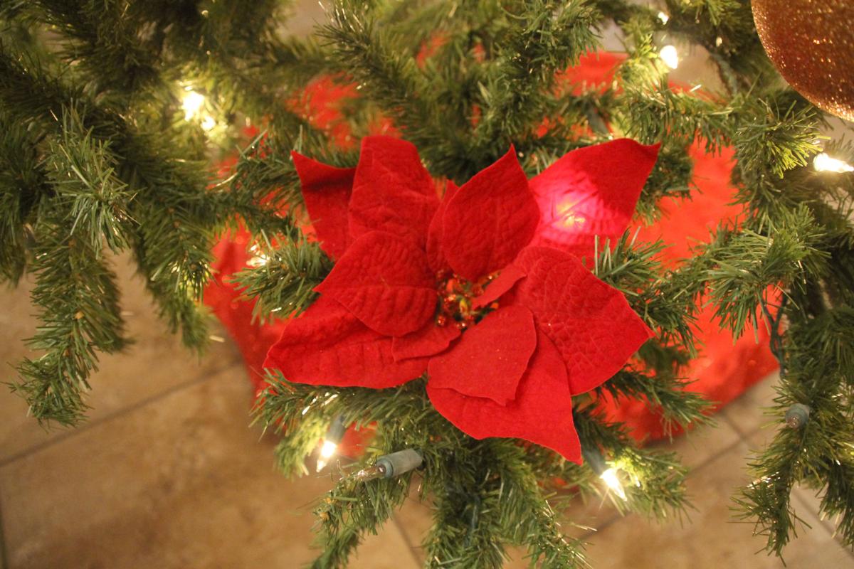 Aequalis Holiday House Tour Set And Ready Community