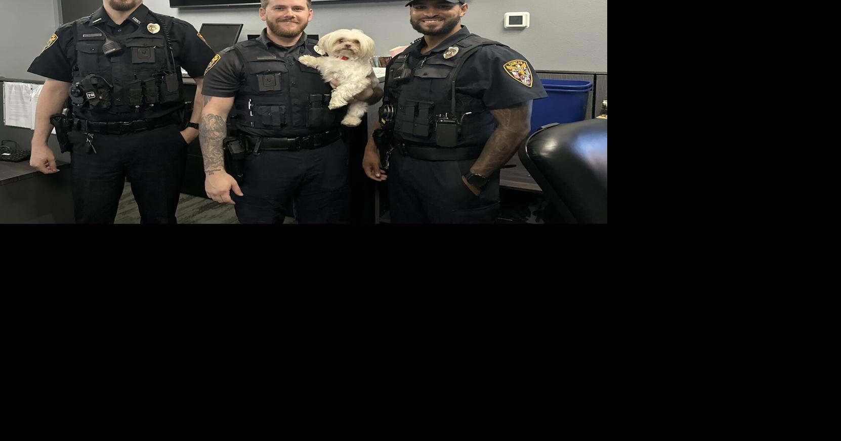 DPD reunites missing pups with owners; More dogs, stolen property also located