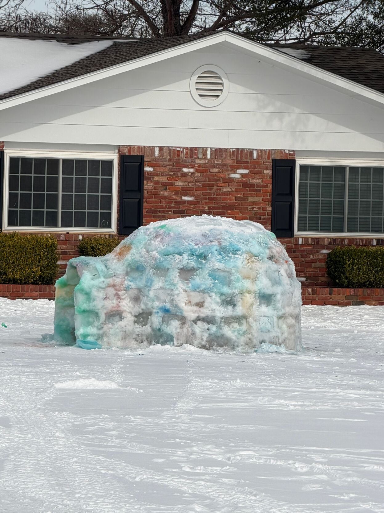 Frozen in time: Area family inspired to build igloo after winter storm ...