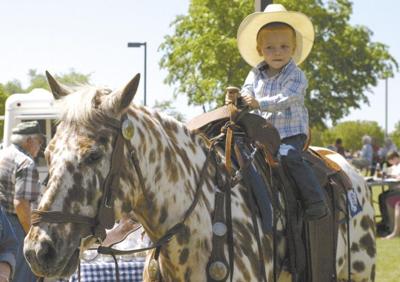 Ltittle cowboy